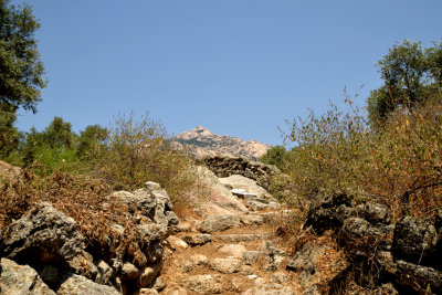 DSC_6429.jpg