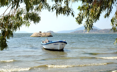 DSC_6528.jpg