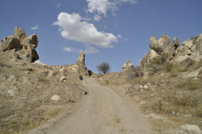_DSC5955.jpg