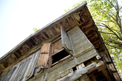 DSC_1736.jpg