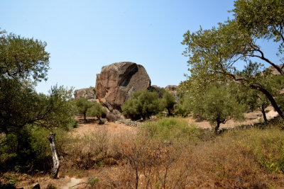 DSC_6435.jpg