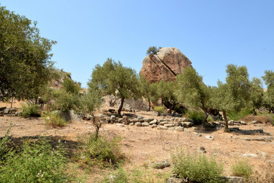 DSC_6445.jpg