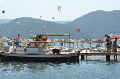 DSC_0702.jpg