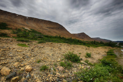 Gros Morne National Park NL - IMG_7845s.jpg