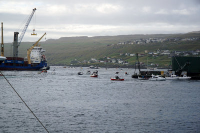 Leitað að síðustu grindarhvölunum