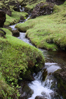 akgil Stream
