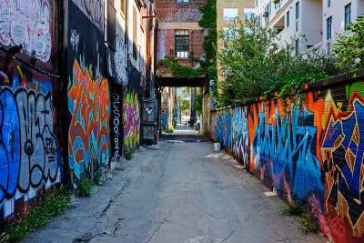 Dog Alley