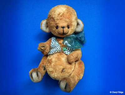 Dil bear from Russia