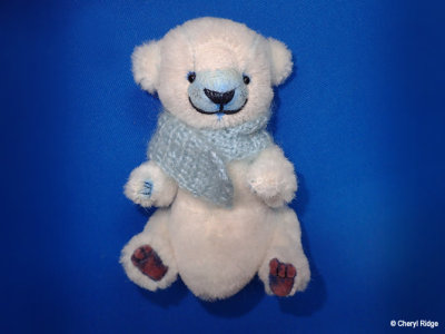 Mih bear from Russia