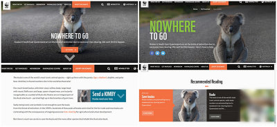 WWF Australia website - koala image supplied