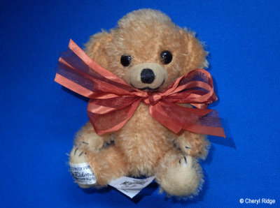 Merrythought micro Cheeky beige - UNKNOWN