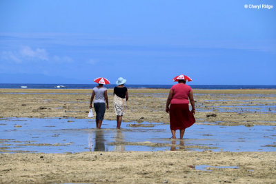 3364-devodara-beach.jpg