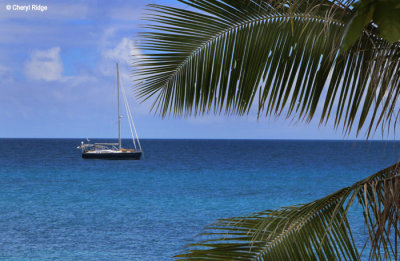 6940b-dravuni-island.jpg