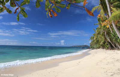 6950b-dravuni-island.jpg