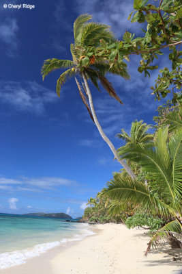 6952-dravuni-island.jpg
