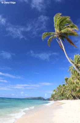 6955b-dravuni-island.jpg