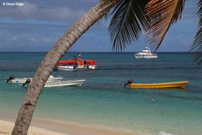 6978-dravuni-island.jpg