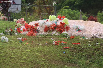 3478-vavau-tonga.jpg