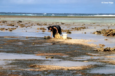 3506-vavau-tonga.jpg