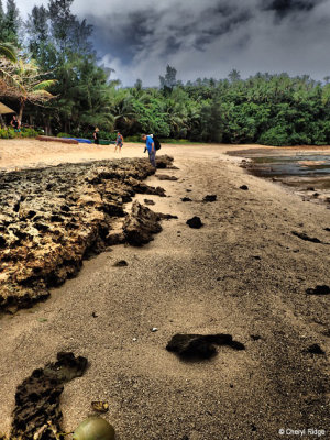 P8230283-vavau-tonga.jpg