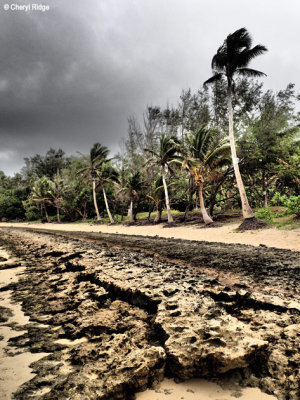 P8230287-vavau-tonga.jpg
