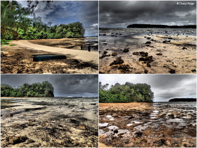 vavau-tonga10.jpg