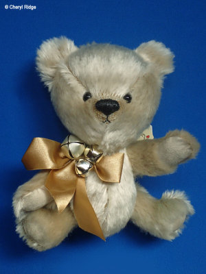Bunyip Bear Australia