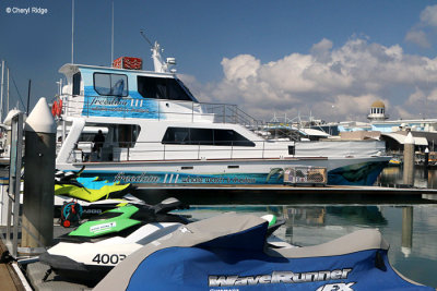 7782-marina.jpg