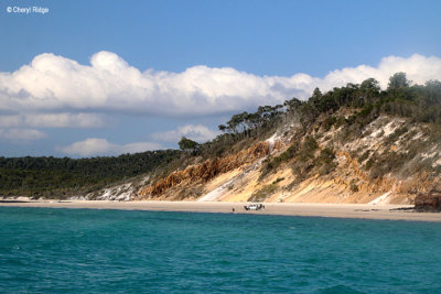 8034-fraser-is-west-coast.jpg