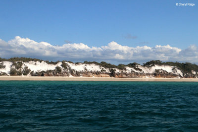8042b-fraser-is-west-coast.jpg