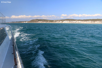 8056-fraser-is-west-coast.jpg