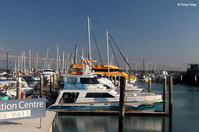 8066-marina.jpg