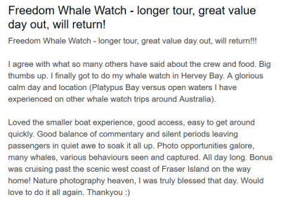 Freedom Whale Watch - my REVIEW