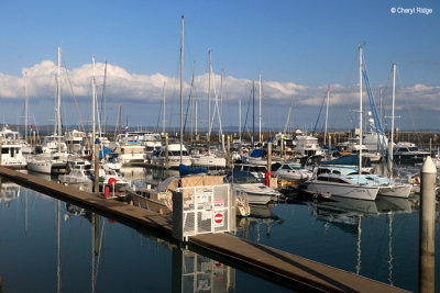 8063-marina.jpg