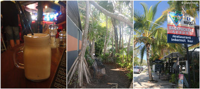 noosa-backpackers-resort2.jpg