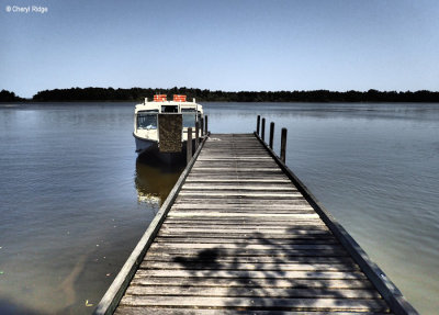 P9250222-everglades-cruise.jpg