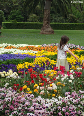 PA080251-queens-park.jpg