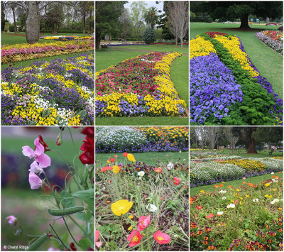 queens-park-botanic-garden3.jpg
