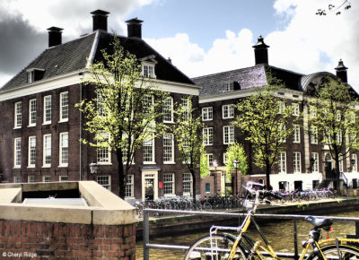 P4260203-amsterdam.jpg