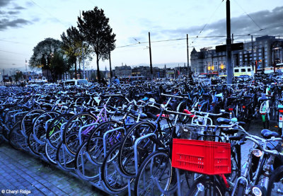 P4260437-amsterdam.jpg