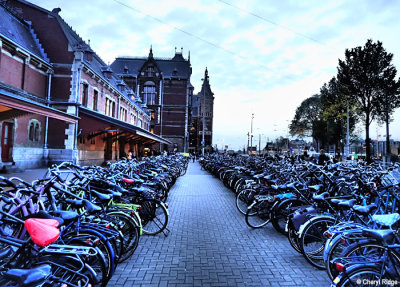 P4260438-amsterdam.jpg
