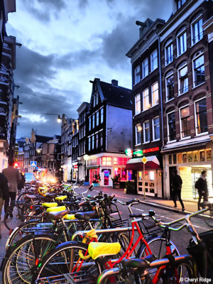 P4260440-amsterdam.jpg