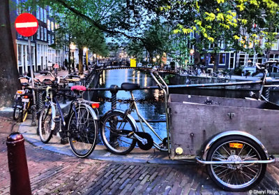 P4260447-amsterdam.jpg