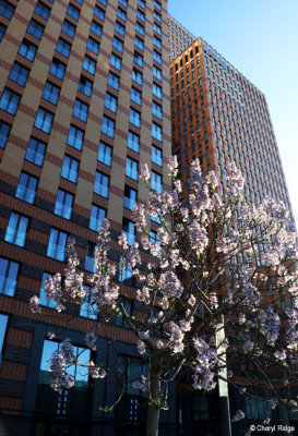 6971-amsterdam-zuid.jpg