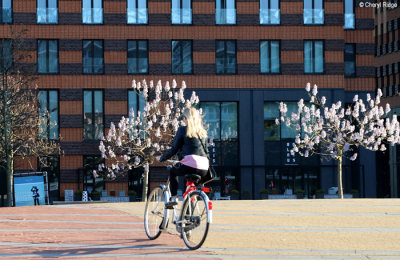 6976-amsterdam-zuid.jpg