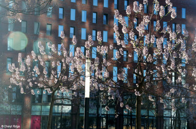 6979-amsterdam-zuid.jpg