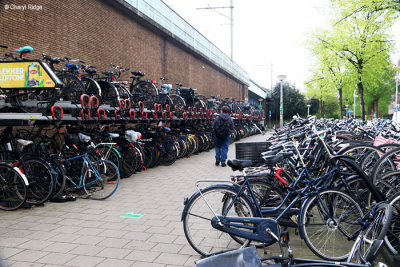 8020-amsterdam-muiderpoort.jpg