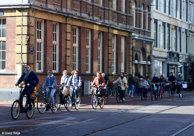 8208-amsterdam.jpg