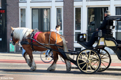 8217-amsterdam.jpg