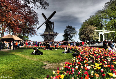 P4230288-keukenhof.jpg